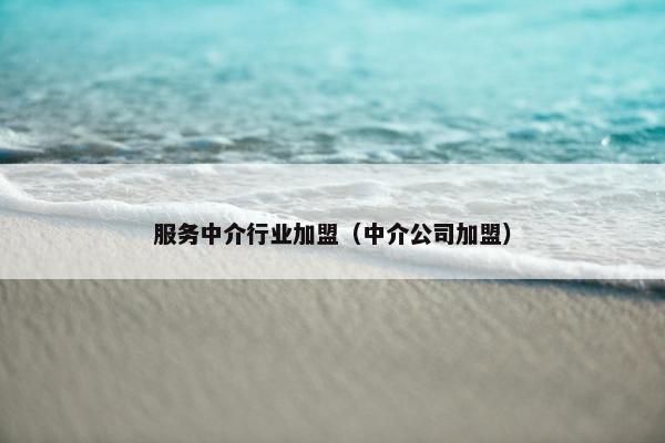 服务中介行业加盟（中介公司加盟）