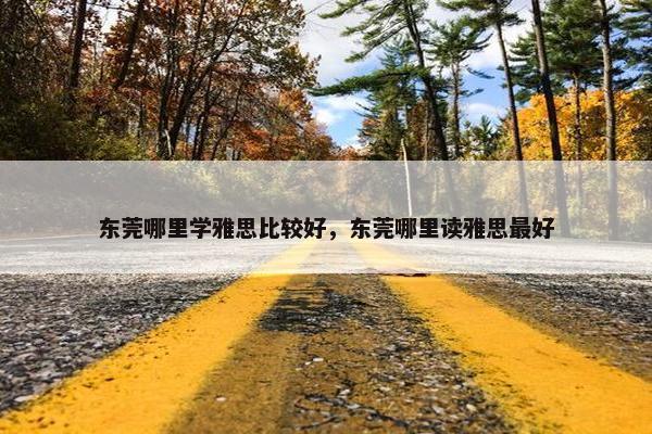 东莞哪里学雅思比较好，东莞哪里读雅思最好