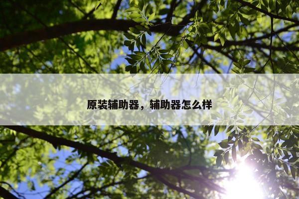 原装辅助器，辅助器怎么样