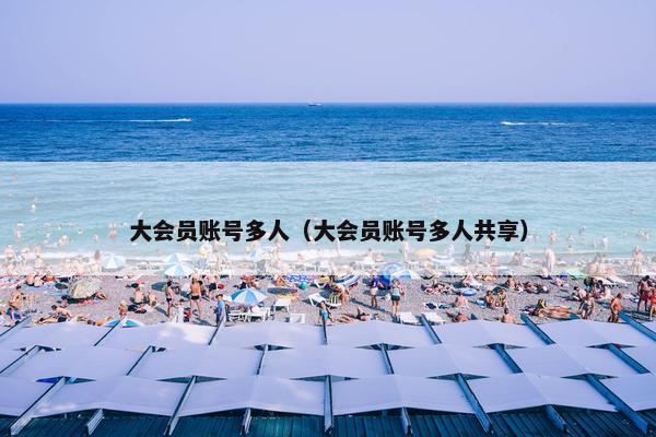 大会员账号多人（大会员账号多人共享）