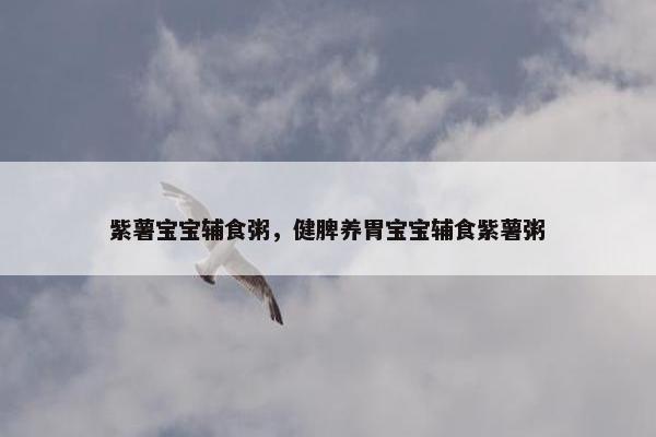 紫薯宝宝辅食粥，健脾养胃宝宝辅食紫薯粥