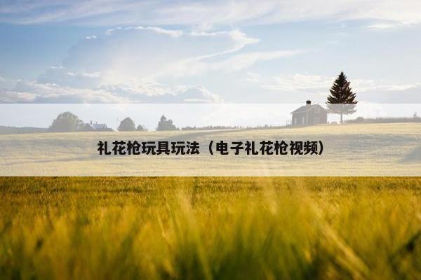 礼花枪玩具玩法（电子礼花枪视频）