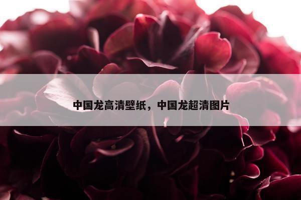 中国龙高清壁纸，中国龙超清图片