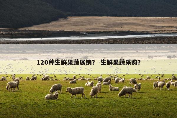 120种生鲜果蔬展销？ 生鲜果蔬采购？