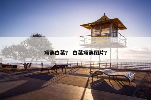 项链白菜？ 白菜项链图片？
