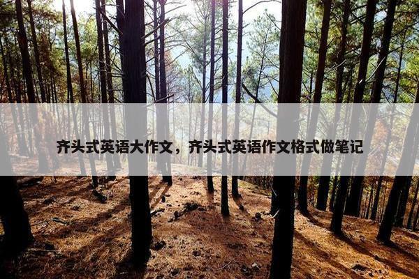 齐头式英语大作文，齐头式英语作文格式做笔记