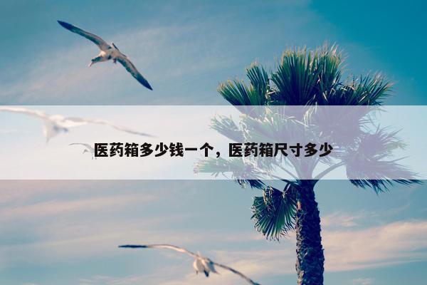 医药箱多少钱一个，医药箱尺寸多少