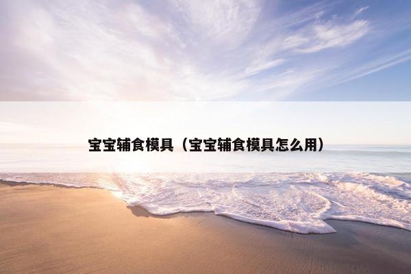 宝宝辅食模具（宝宝辅食模具怎么用）