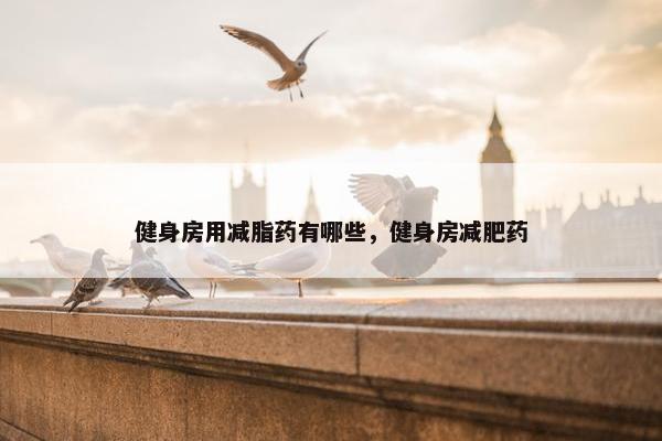 健身房用减脂药有哪些，健身房减肥药