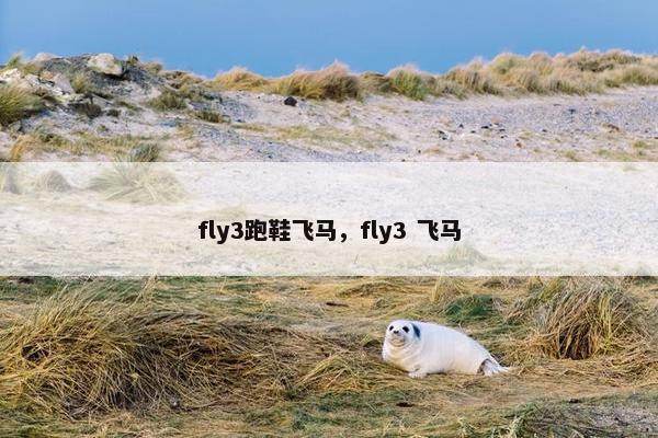 fly3跑鞋飞马，fly3 飞马
