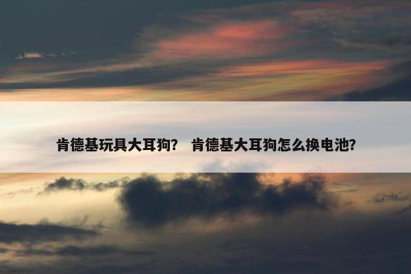 肯德基玩具大耳狗？ 肯德基大耳狗怎么换电池？