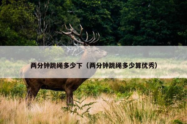 两分钟跳绳多少下（两分钟跳绳多少算优秀）