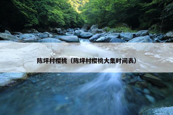 陈坪村樱桃（陈坪村樱桃大集时间表）