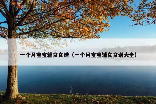 一个月宝宝辅食食谱（一个月宝宝辅食食谱大全）