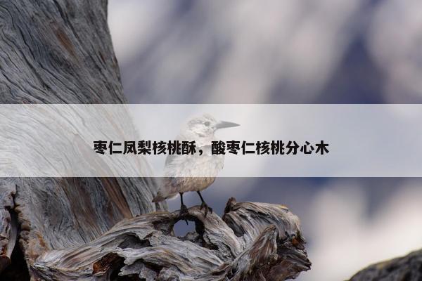 枣仁凤梨核桃酥，酸枣仁核桃分心木