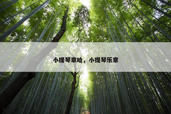 小提琴章哈，小提琴乐章