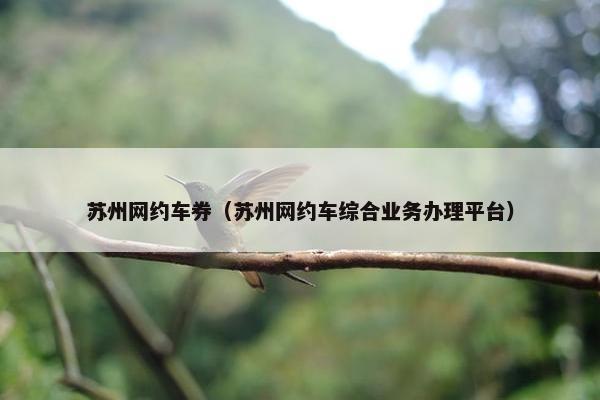 苏州网约车券（苏州网约车综合业务办理平台）