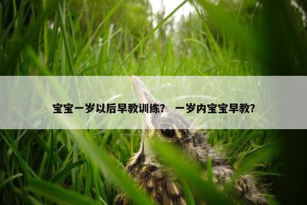宝宝一岁以后早教训练？ 一岁内宝宝早教？