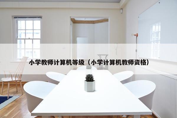 小学教师计算机等级（小学计算机教师资格）
