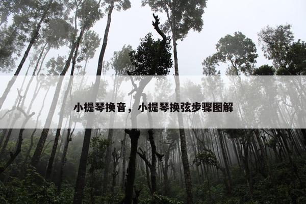小提琴换音，小提琴换弦步骤图解