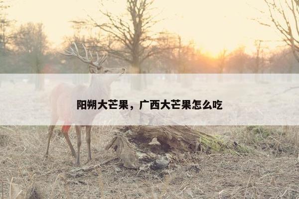 阳朔大芒果，广西大芒果怎么吃