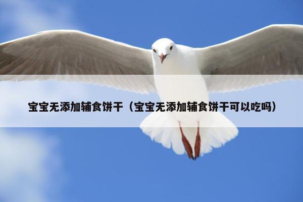 宝宝无添加辅食饼干（宝宝无添加辅食饼干可以吃吗）