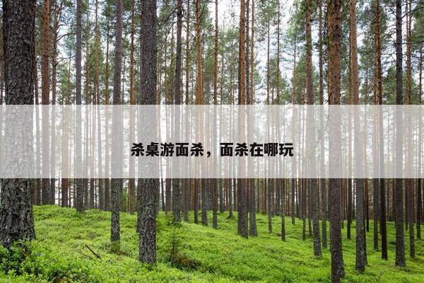 杀桌游面杀，面杀在哪玩
