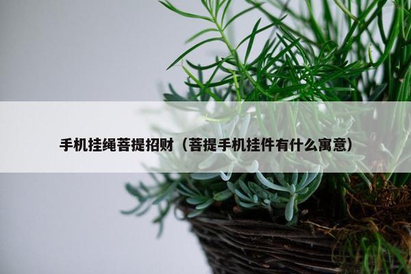 手机挂绳菩提招财（菩提手机挂件有什么寓意）