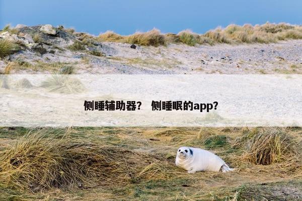 侧睡辅助器？ 侧睡眠的app？