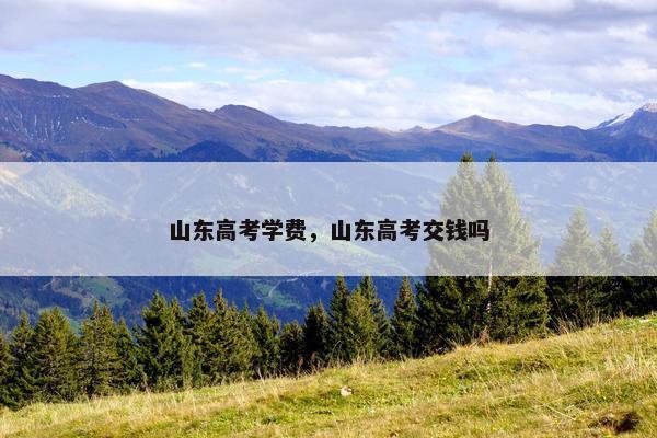 山东高考学费，山东高考交钱吗