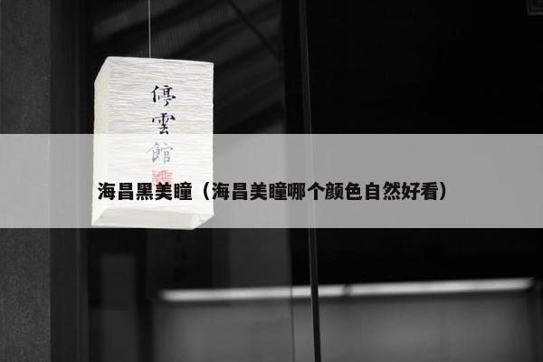 海昌黑美瞳（海昌美瞳哪个颜色自然好看）