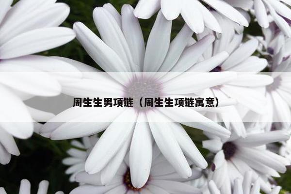 周生生男项链（周生生项链寓意）