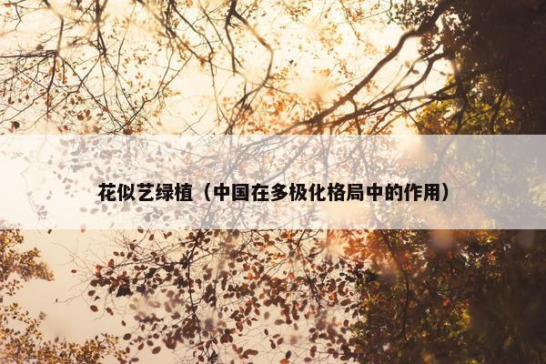 花似艺绿植（中国在多极化格局中的作用）