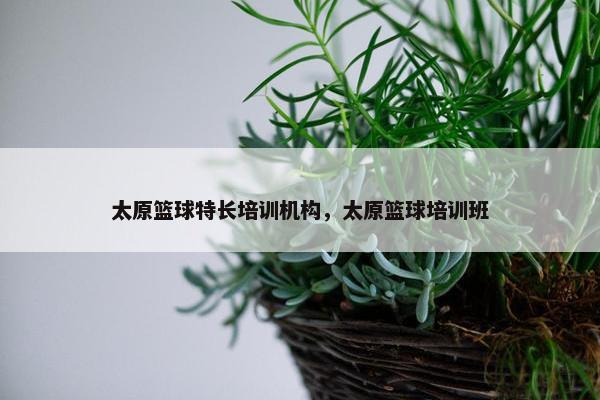 太原篮球特长培训机构，太原篮球培训班