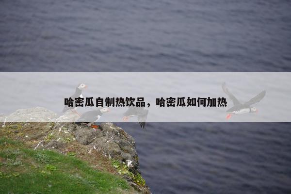 哈密瓜自制热饮品，哈密瓜如何加热