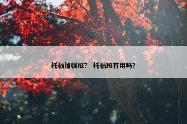 托福加强班？ 托福班有用吗？