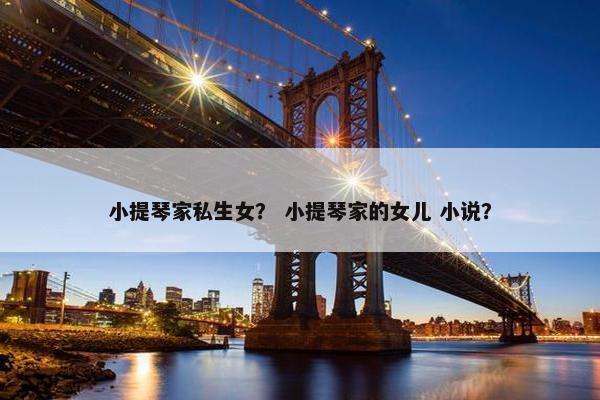 小提琴家私生女？ 小提琴家的女儿 小说？