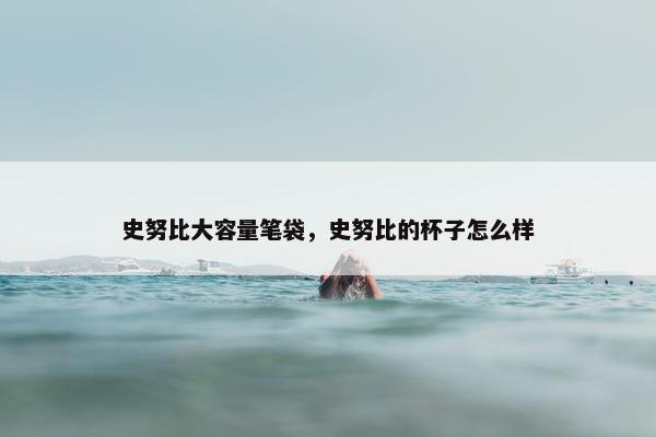 史努比大容量笔袋，史努比的杯子怎么样