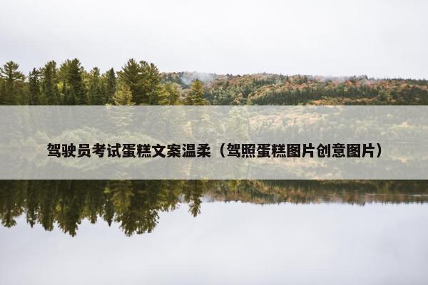 驾驶员考试蛋糕文案温柔（驾照蛋糕图片创意图片）