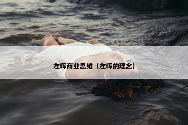 左晖商业思维（左晖的理念）