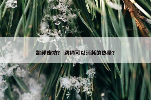 跳绳废功？ 跳绳可以消耗的热量？