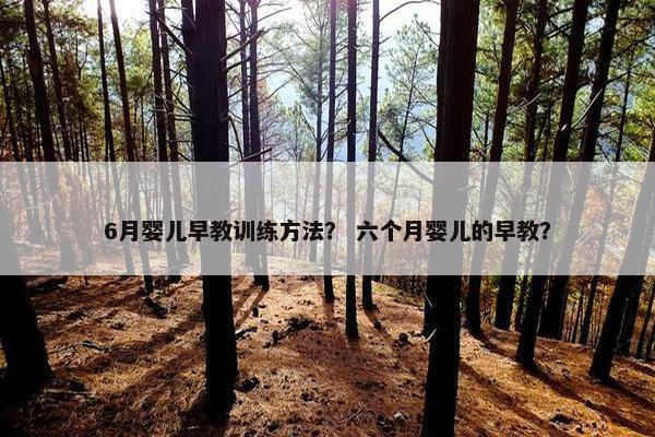 6月婴儿早教训练方法？ 六个月婴儿的早教？