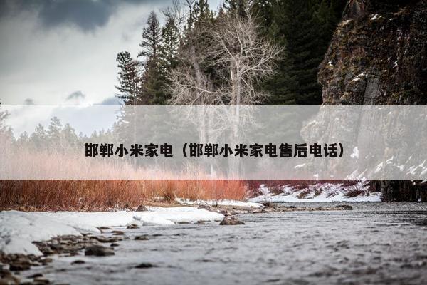 邯郸小米家电（邯郸小米家电售后电话）