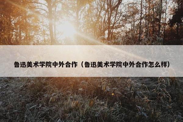 鲁迅美术学院中外合作（鲁迅美术学院中外合作怎么样）