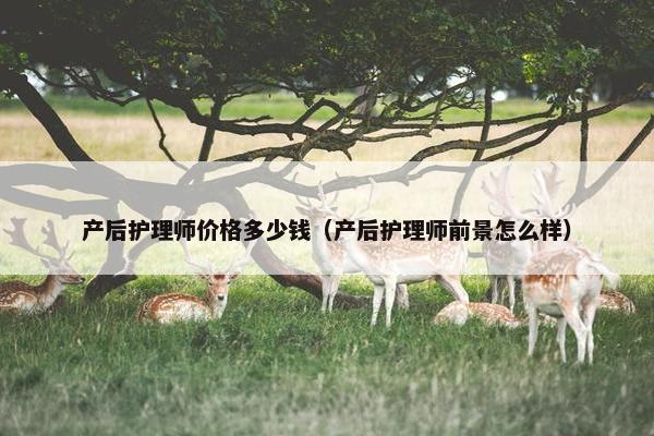 产后护理师价格多少钱（产后护理师前景怎么样）