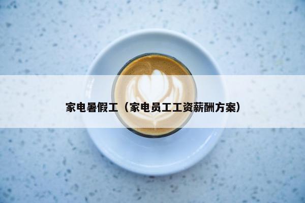 家电暑假工（家电员工工资薪酬方案）