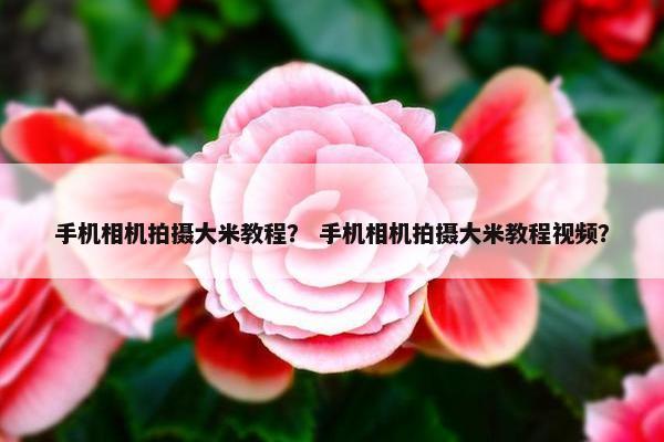 手机相机拍摄大米教程？ 手机相机拍摄大米教程视频？