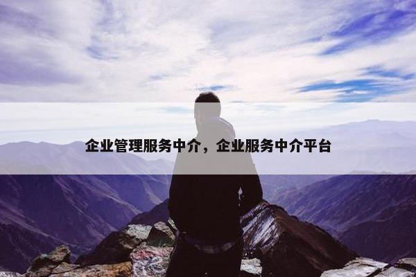 企业管理服务中介，企业服务中介平台