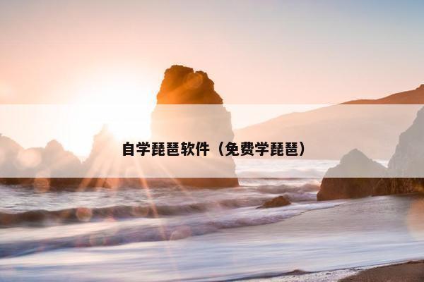 自学琵琶软件（免费学琵琶）