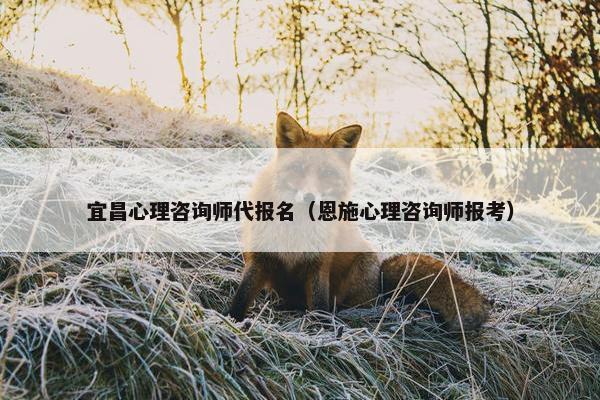 宜昌心理咨询师代报名（恩施心理咨询师报考）